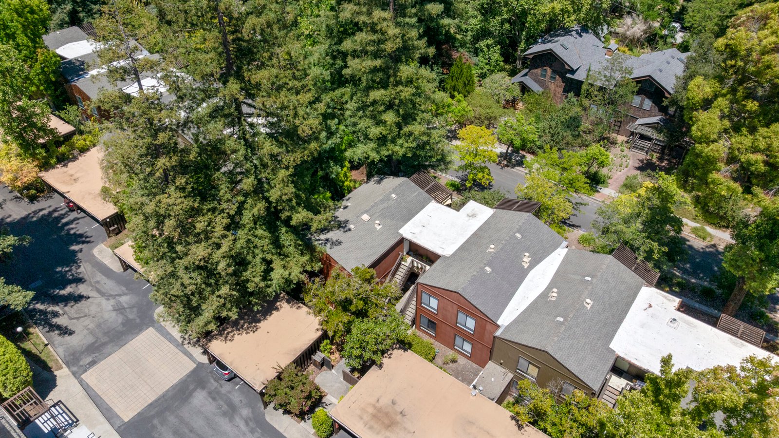 Overhead view of the rooflines and canopy
